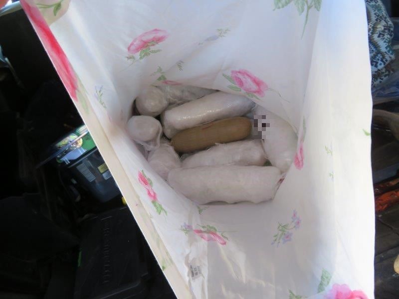 Border busts